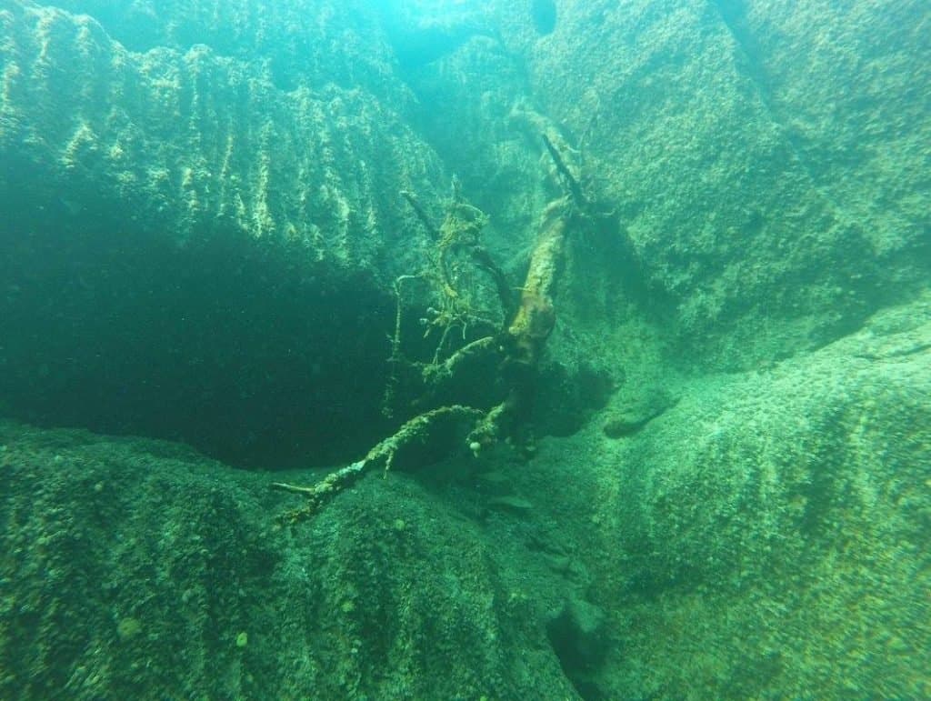 Isola dell’Olivo