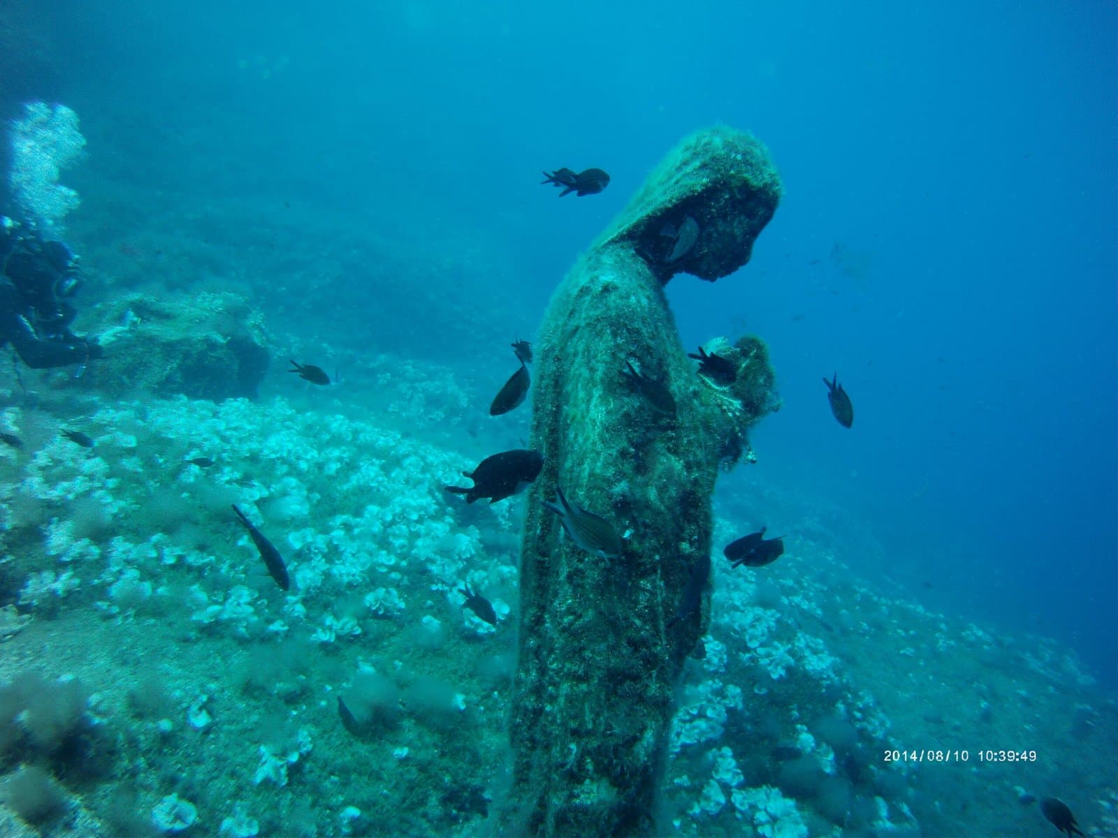 Immersione ATIS Diving 15